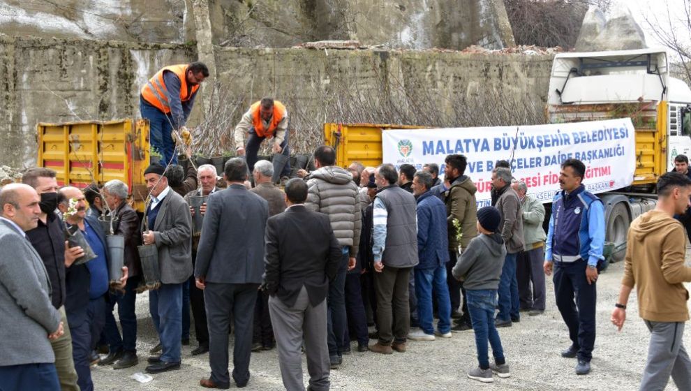 Büyükşehir Belediyesi Pütürge'de Fidan Dağıttı