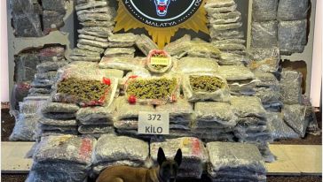Narkotik Polis 372 Kilo Skunk Ele Geçirdi