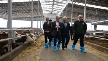 Vali Yazıcı'dan Battalgazi'deki Besi Çiftliklerinde İnceleme
