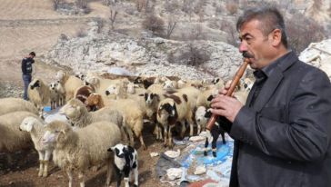 "Kaval Olmaz İse Peşim Sıra Gelmiyorlar"