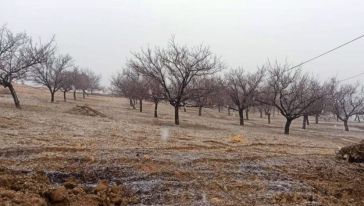 Kayısı Bahçesinde Kara Yakalandılar