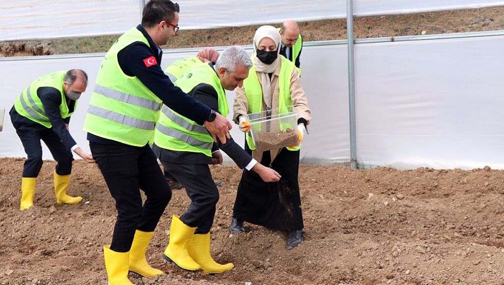 'Elde Edilecek Fideler Malatya'da da Dağıtılacak'