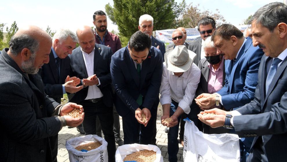 Arguvan'da Çiftçiye Nohut Tohumu Dağıtıldı