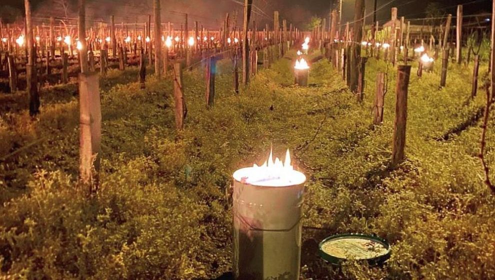 Fransa'da Üzüm Bağlarını Dondan Korumak İçin Kandiller Yakıldı