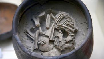 Arslantepe'den Çıkarılan 5 Bin Yıllık Küp Mezar