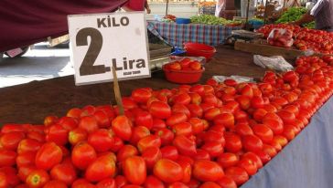 Adana'da Domatesin Kilosu 2 Liraya Düştü