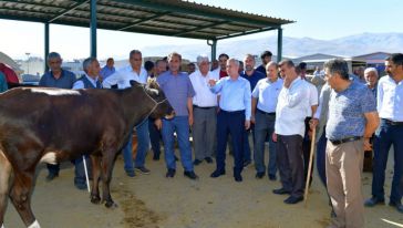 "Hayvan Pazarı Bölge Ekonomisinin Mihenk Taşı"