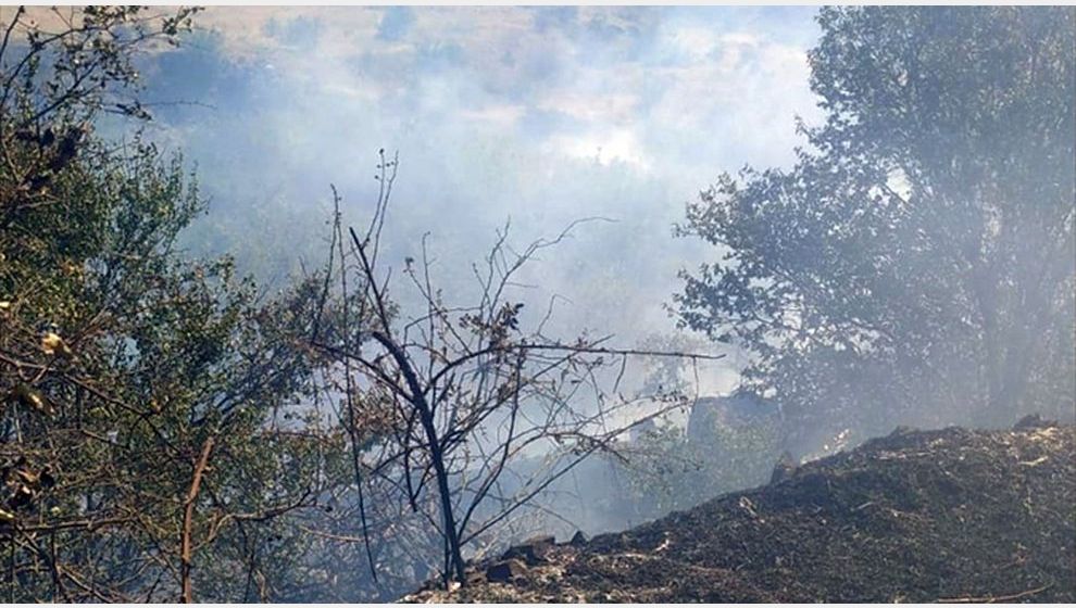 Kayısı Bahçesinde Yangın Çıktı