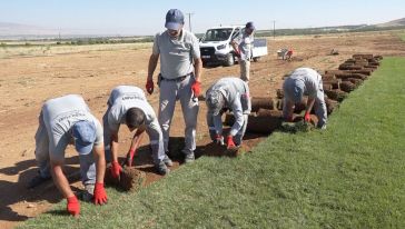 3 Yılda 80 Bin Metrekare Rulo Çim Üretildi