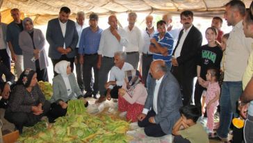 "Çok Fazla Ceza Kesilmediğini Herkes Biliyor"!.