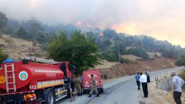 Doğanyol'da 150 Dönüm Ormanlık Alan Yandı