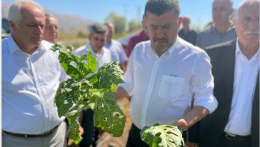 "Hasar Tespiti Yapılıp, Çiftçiye Yardım Edilmeli"