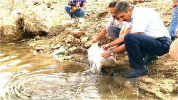 Malatya'daki Göletlere 2 Milyon Yavru Balık Bırakıldı