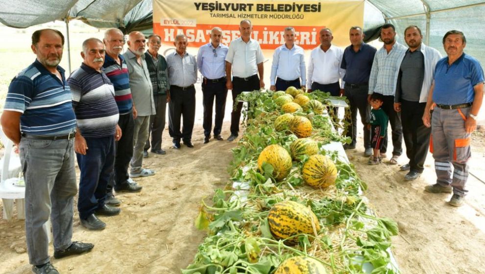 Çayırköy'de Kavun Hasadı Şenliği Yapıldı