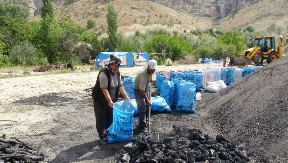 Mangal Kömürünün Mevsimlik İşçileri