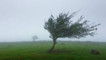 Meteoroloji'den Kuvvetli Rüzgar Uyarısı