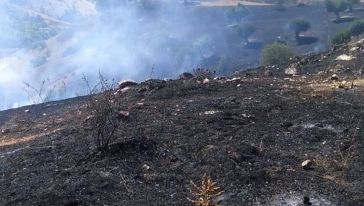 “Ormanlık  Alan Yangında Zarar Gördü”