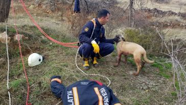 Kuyuya Düşen Köpeği İtfaiye Kurtardı