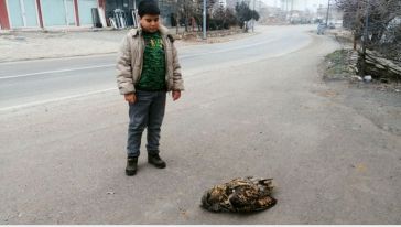 Arapgir'de 'Baykuş Donduran' Soğuk