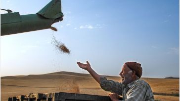 Üretim Ama Hangi Üretim?!