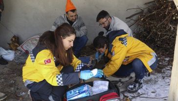 Depremde Yaralanan Hayvanları Tedavi Ediyorlar