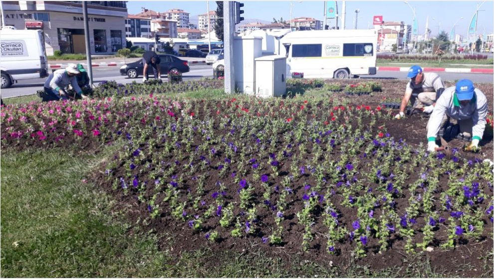 Büyükşehir Belediyesinden Parklarda Çiçeklendirme