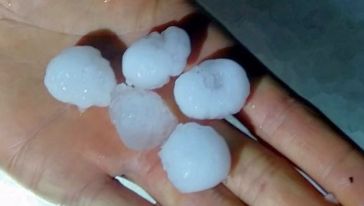 Dolu Yağışı Ekili ve Dikili Alanlara Zarar Verdi