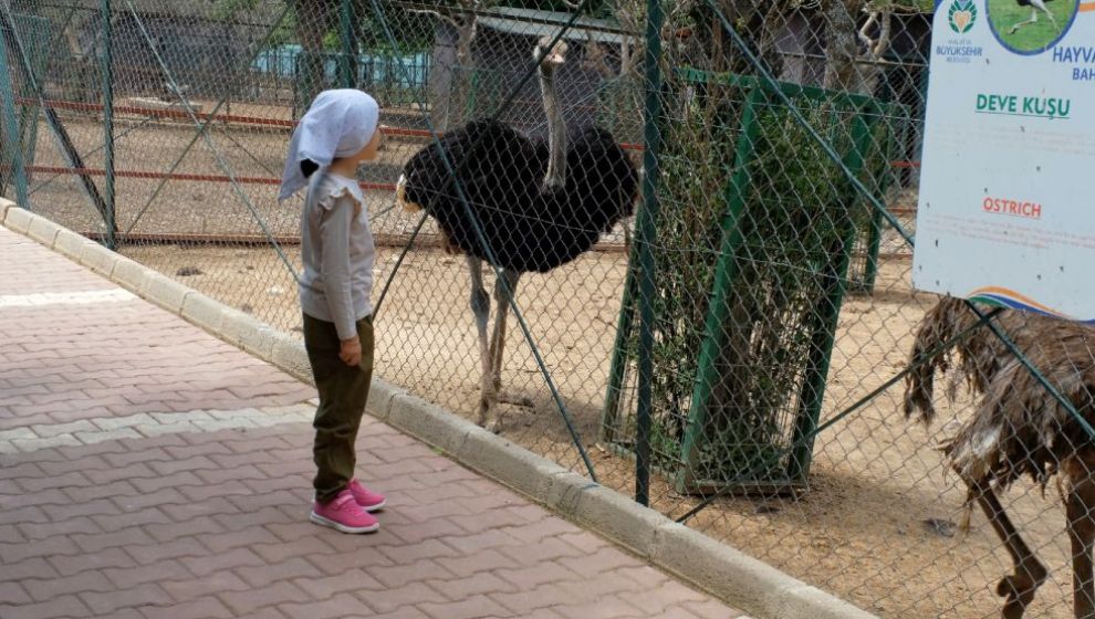 Hayvanat Bahçesi Bayramda Öğrencilere Ücretsiz
