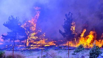 Geçen Yıl Bu Felaketin Yaşanmadığı İllerden Biri de Malatya