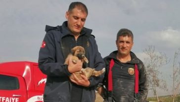 Enkaz Altında Mahsur Kalan Yavru Köpek Kurtarıldı