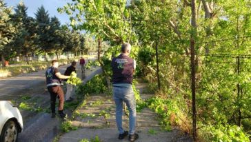 Malatya'da Etkili Olan Kısa Süreli Fırtına Ağaçları Devirdi