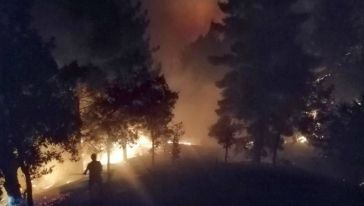 Pütürge İlçesinde 3 Ayrı Yerde Orman Yangınları Çıktı