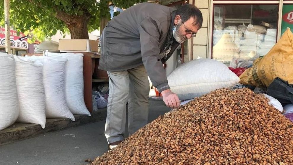 200 Ton Acı Kayısı Çekirdeği Gönderiliyor