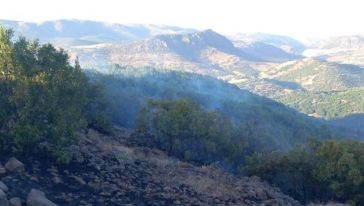 Arguvan'da Ormanlık Alanda Yangın Çıktı