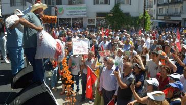 "Kayısı Yerlerde Sürünmeye Devam Ediyor"