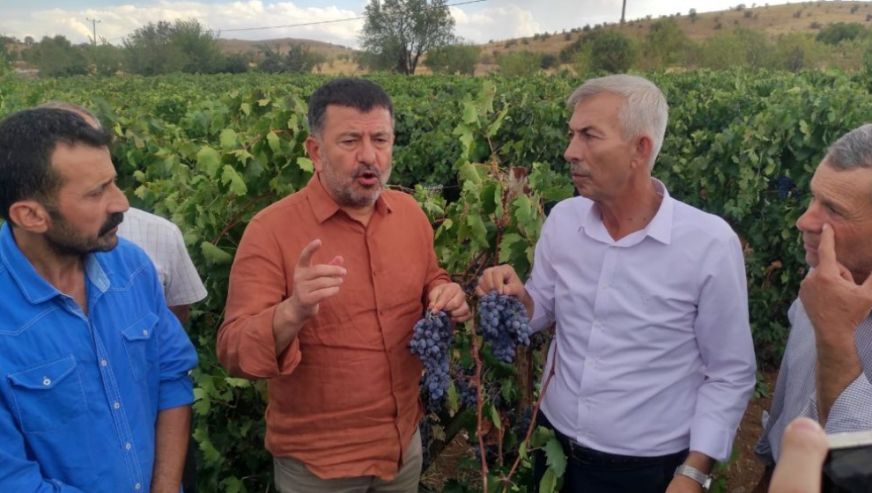 "Üzüm de Tarlada, Bağda Kalacak Gibi.."