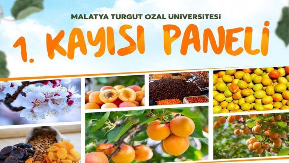 MTÜ'de 27 Kasım Günü Kayısı Paneli Yapılacak