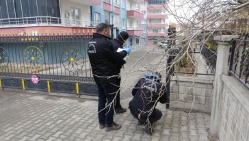 Cinayetle İlgili Yakalanan 4 Şüpheliden 2'si Tutuklandı