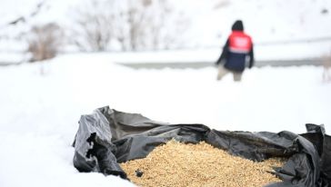 Yaban Hayvanları İçin Battalgazi Kırsalına Yem Bırakıldı