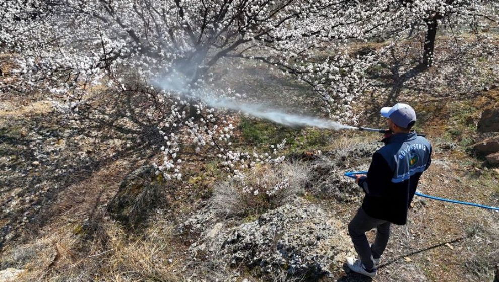 ‘Riske Karşı Zamanında ve Doğru İlaçlama Yapılmalı’