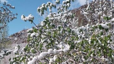 Nisan'da Hava Sıcaklığının Sıra Dışı Seviyelere İndiği 20 İlçeden 2'si Malatya'da