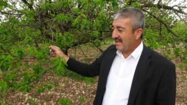 "Çok Şükür Ağaçlar Yeniden Canlandı"
