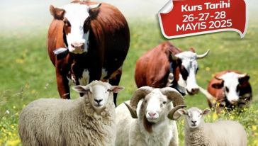 Kurban Kesim Kursu Düzenlenecek