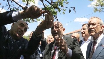 TBMM Zirai Don Komisyonundan Kayısı Bahçesinde İnceleme