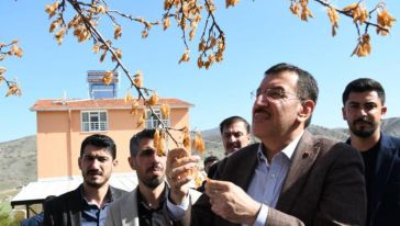 "Zirai Don Destek Ödemeleri Bayramdan Sonra.."