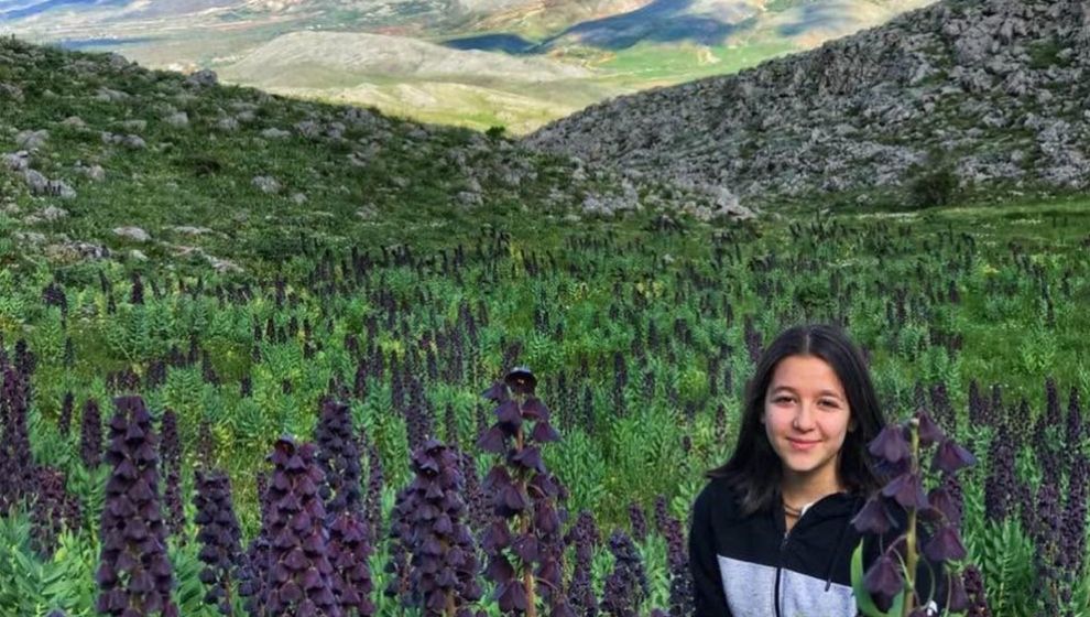 Dağların Çayır ve Kayalık Yamaçlarında 'Dağ Sümbülü' Güzelliği
