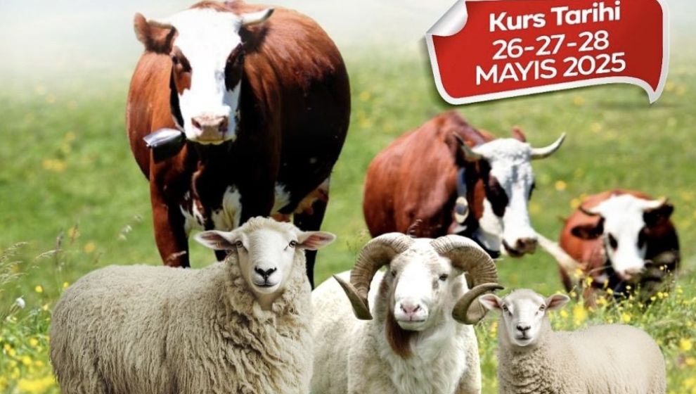 Kurban Kesim Kursu Düzenlenecek