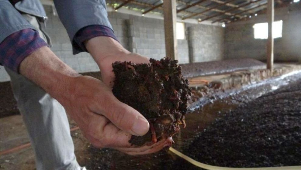 'Tarımda En Az Yüzde 30 Verim Artışı Sağlıyor'
