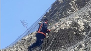 Çelik Ağlara Takılan Yaban Keçilerini Kurtarma Operasyonu