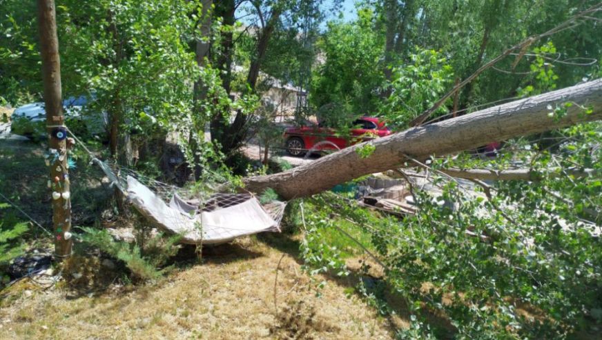 Darende'de Fırtına Ağaç Devirdi, Çatı Uçurdu